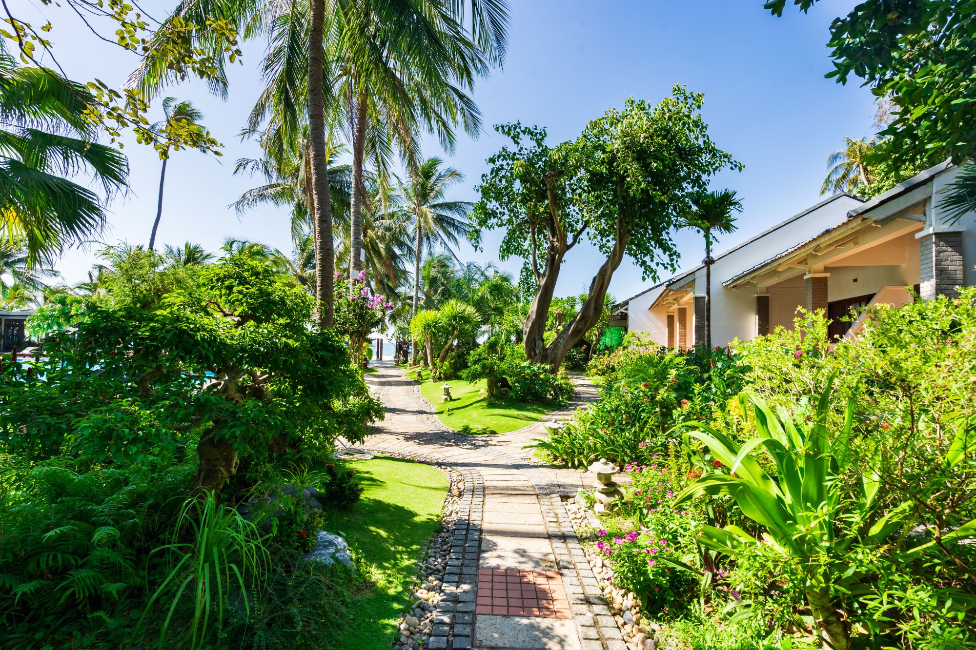 Resort Campus