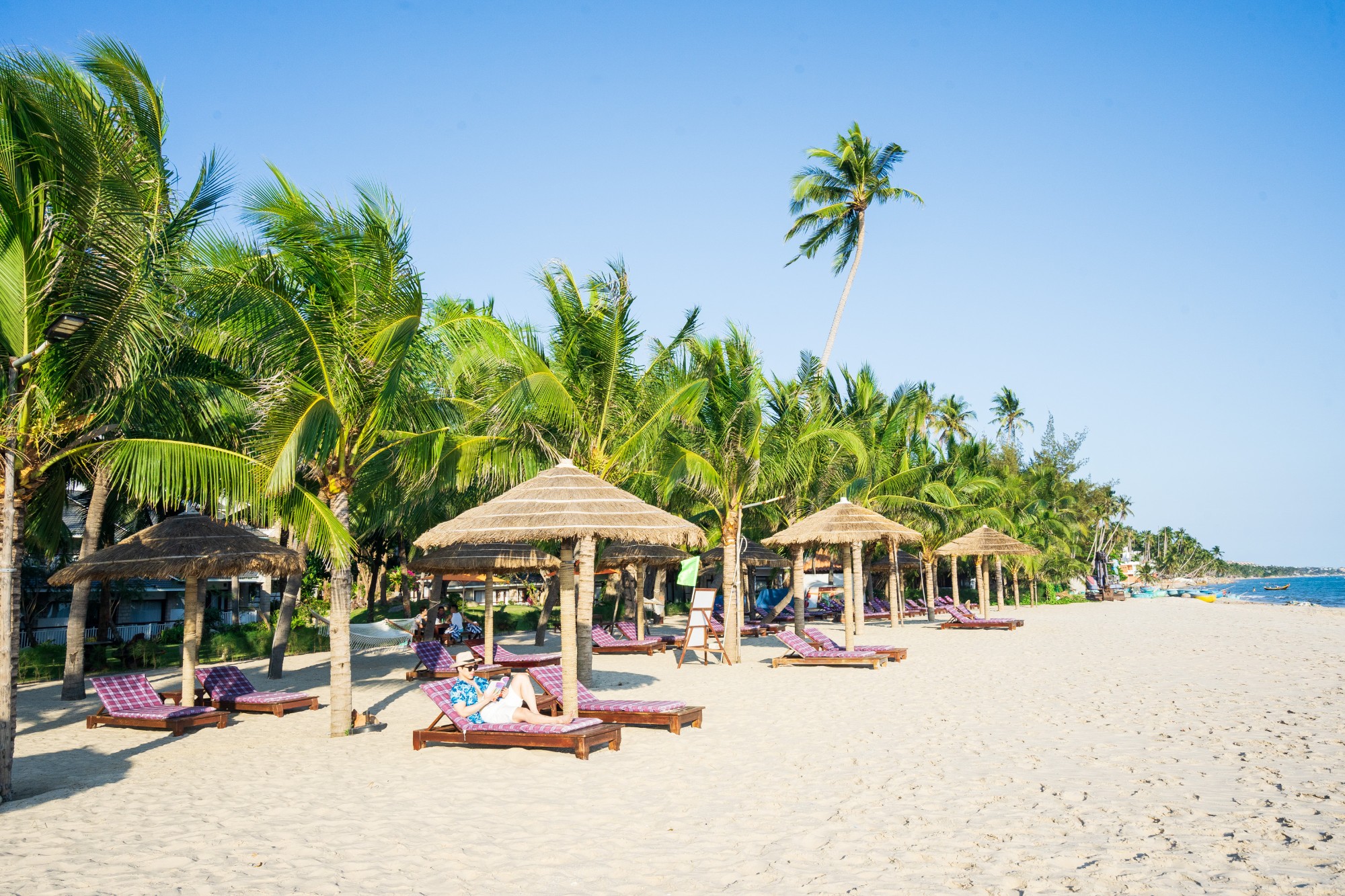 Separated Beach